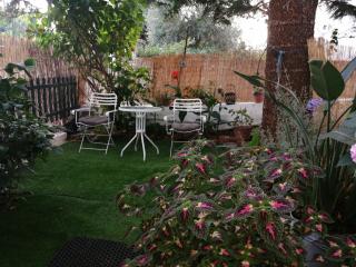 Olga's Cozy Nest , apartment in Ano Korakiana. - 1