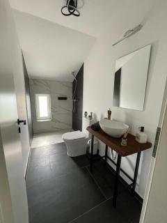 BIA Twin House - Arad - 8