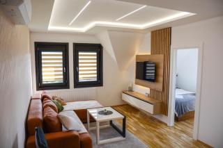Vidik apartmani Tara - Bajina Bašta - 4