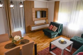 Vidik apartmani Tara - Bajina Bašta - 5