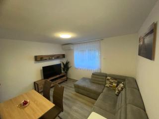 APARTMA DŽANA - Žaga - 4