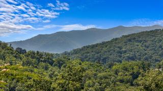 Bear Crossing - Gatlinburg - 0