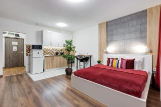 Homey new studio great central area - Budapest - 4