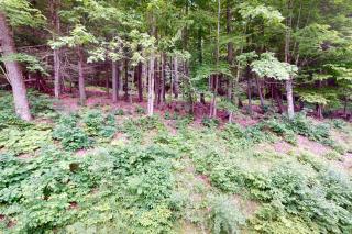 Quechee Hollow 2C - 9