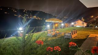 Greenplain Smurf - Trabzon - 9