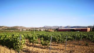 Country House in Anavyssos - Anavissos - 1