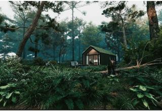 Cabin in the woodz - Haarle - 0