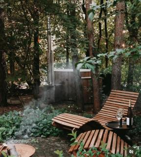 Cabin in the woodz - Haarle - 4