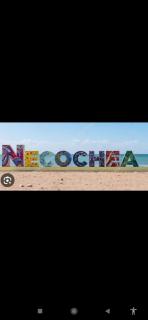 Loft Necochea - Necochea - 4