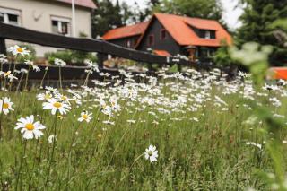 Apartment Alm View, im Oberharz - Braunlage - 9
