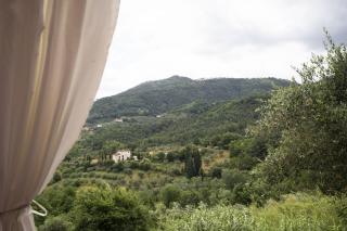 Società agricola Scerba srl - Montemagno - 7