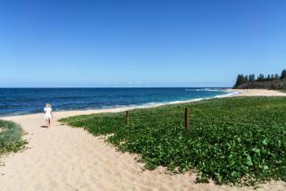 Shelly Beach Seaside Studio B - Caloundra - 2