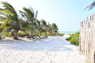 Arena y Mar Beachfront House, El Cuyo by The Spot Rentals - El Cuyo - 2