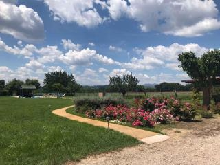 Apartments in Torgiano/Umbrien 24282 - Torgiano - 7