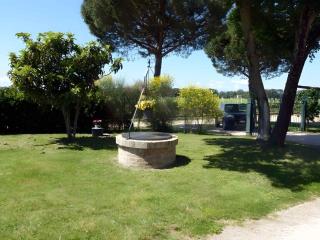 Apartments in Torgiano - Umbrien 24282 - Torgiano - 5