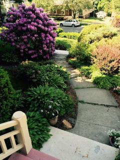 254 South Union Street Guest House - Burlington - 6