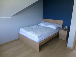 Simpatico, apartamenty nad Jeziorem Powidzkim - Skrzynka Wielka - 3