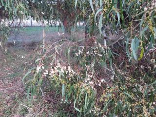 Hobreid Park - Woodend - 5