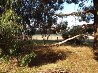 Hobreid Park - Woodend - 3