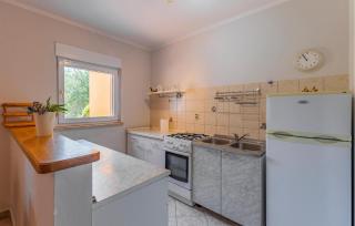 Gorgeous Home In Liznjan With Kitchen - 5