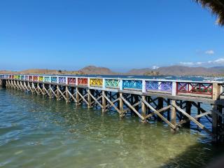Komodo wisata homestay - Komodo - 1