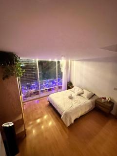 Lovely Room in Roma Norte - Mexico-Stad - 4