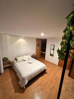 Lovely Room in Roma Norte - Mexico-Stad - 3