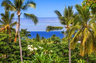 Keauhou Resort - Entire Ocean & Sunset View Condo, 2 Lanais, AC - Kailua-Kona - 9