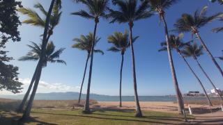 City Love Affair On Stanley - Townsville - 2