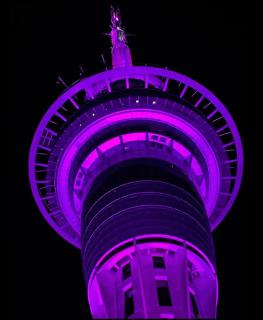 Skytower view and Seaview 2 Bedroom 2 Bathroom Apartment - Auckland - 9