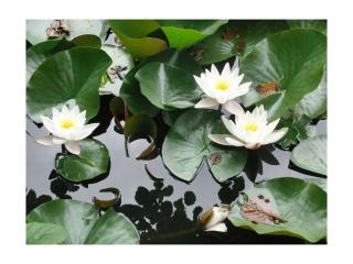 Le Sine Nomine Comfortable holiday residence - 6