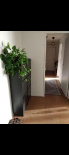 Central parisian loft 70m2 - 2