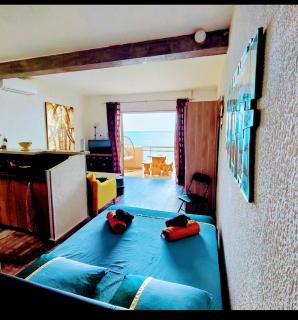 Studio vue sur Mer - Conca - 8