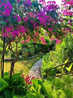 Deep Roots Dive & Yoga Resort - 6