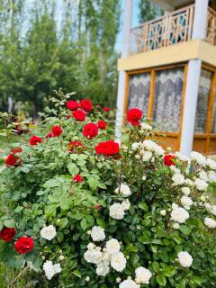 Olgok Guest House Nubra - Hundar - 9