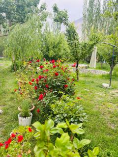 Olgok Guest House Nubra - Hundar - 5