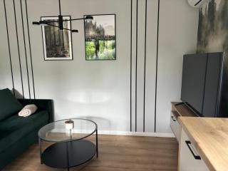 Dach Pod Sową Apartament GS - Ludwikowice Kłodzkie - 5
