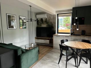Dach Pod Sową Apartament GS - Ludwikowice Kłodzkie - 4