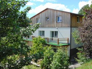 Apartmány u medvědů Krkonoše - Jestrabi V Krkonosich - 5