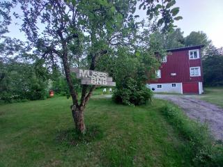 MUSES BNB Bed & Breakfast - 6