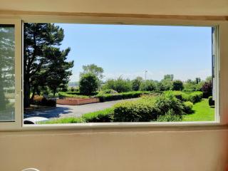 Spacieux appartement refait à NEUF - 4 pers - vue sur l'hippodrome - Cabourg - 1