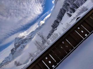 Cozy Scenic Family Chalet Gstaad Glacier 3000 - Gsteig - 9