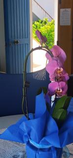 HAIKU HOME - Cala Gonone - 5