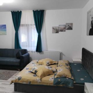 Cazare La Piatra Buhei - Câmpulung Moldovenesc - 9