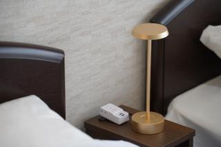 The Hakuba Station Room - Hakuba - 1