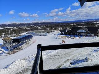Koselig leilighet med ski in ski out på Golsfjellet - Gol - 1