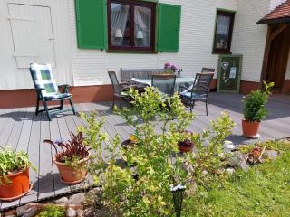 Ferienwohnung Rotmurg - Baiersbronn - 9