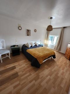 DOMAINE DE POULHARIES -Merlot - 2