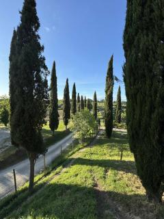 Borgo Melograno - Chiusi - 9