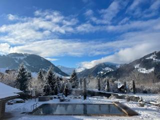 Luxurious Alpine Flat With Hotel Amenities - Gstaad - 8